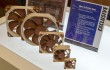 noctua_a_series