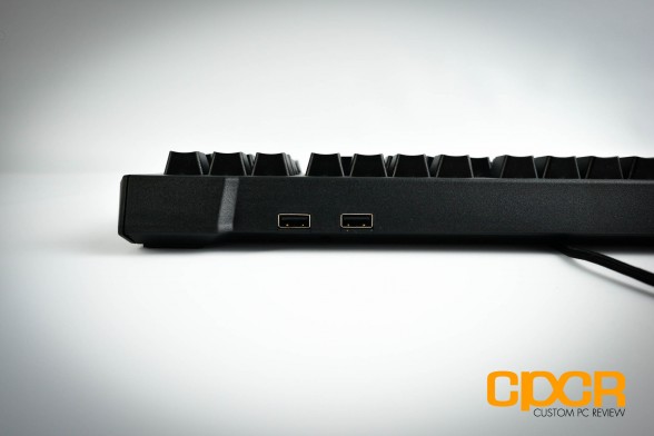 max-keyboard-blackbird-tenkeyless-mechanical-gaming-keyboard-custom-pc-review-5