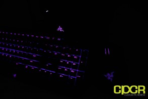 razer-chroma-deathadder-blackwidow-ultimate-kraken-custom-pc-review-40