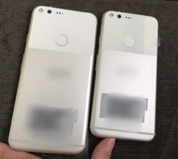 google-pixel-pixel-xl-images-leaked