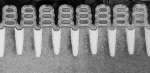 ibm 5nm stacked transistor image 2