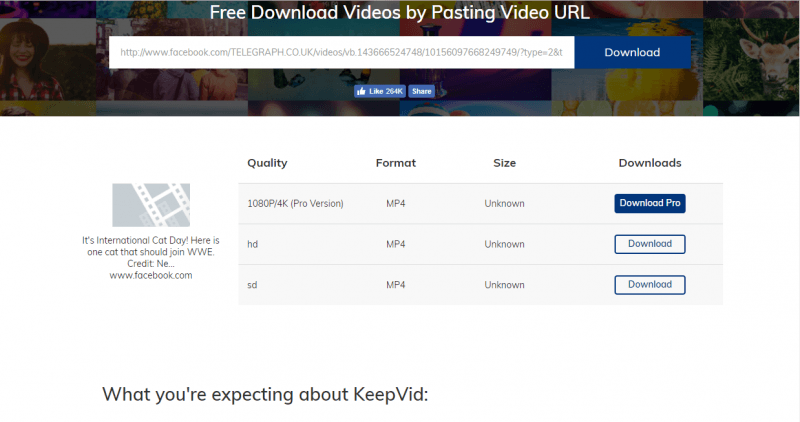 keepvid save download facebook videos computer 02