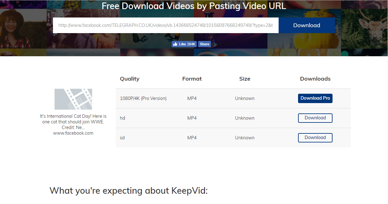 Download Download